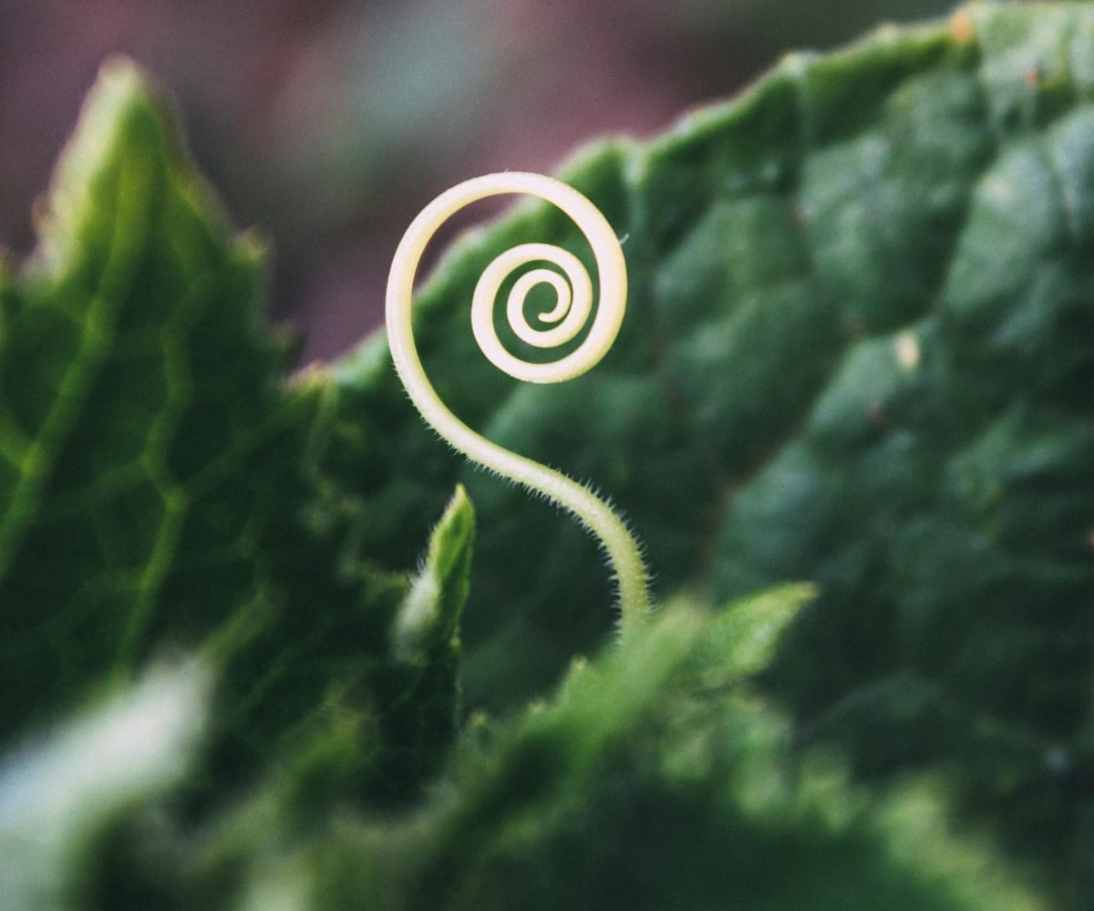 You're Invited: Saturn-Neptune Conjunction Ritual Wednesday