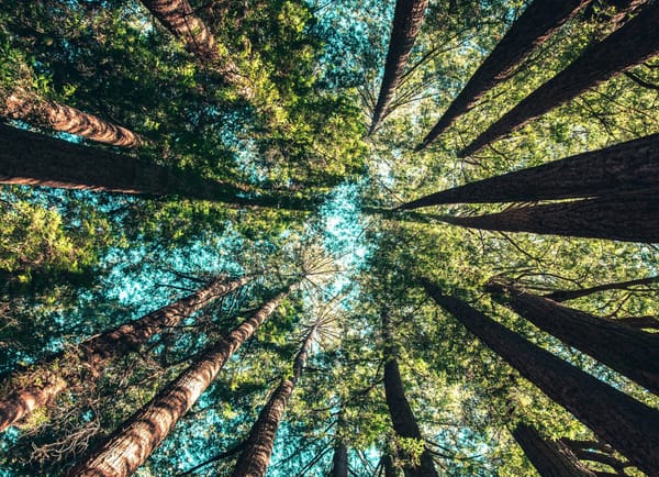 February Community of Practice Gathering--Wednesday 2/18 at 4pm Pacific/7pm Eastern